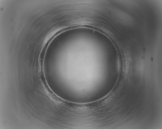 X0000052941031200507081139