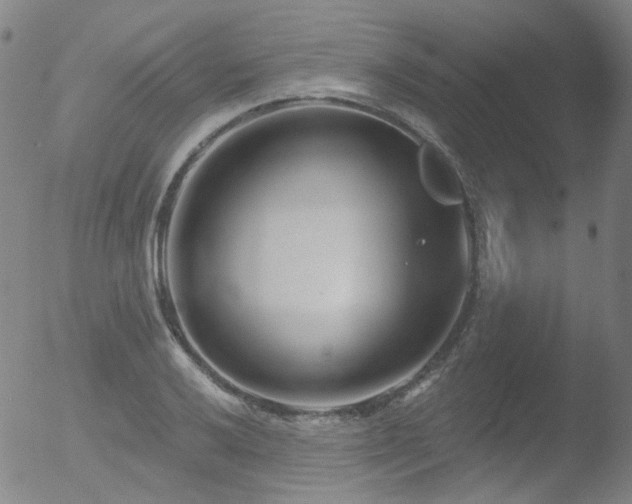 X0000052941032200507081139