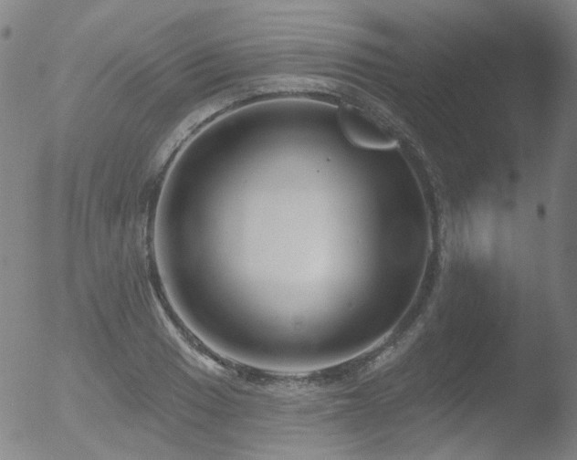 X0000052941033200507081139