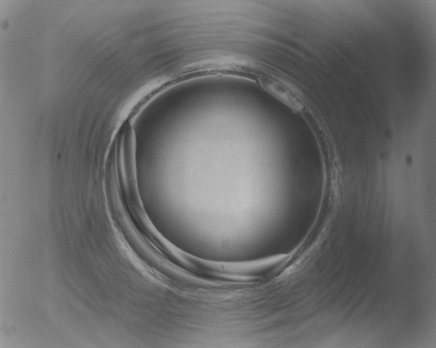 X0000052941034200507081139