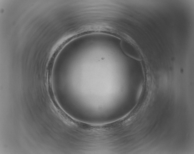 X0000052941035200507081139