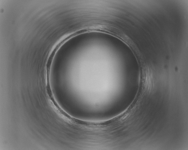 X0000052941036200507081139