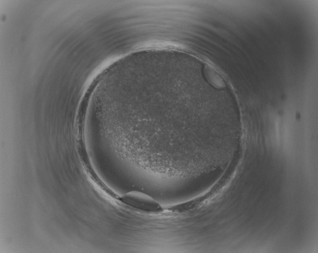 X0000052941037200507081139