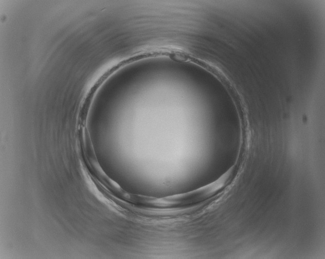 X0000052941038200507081139