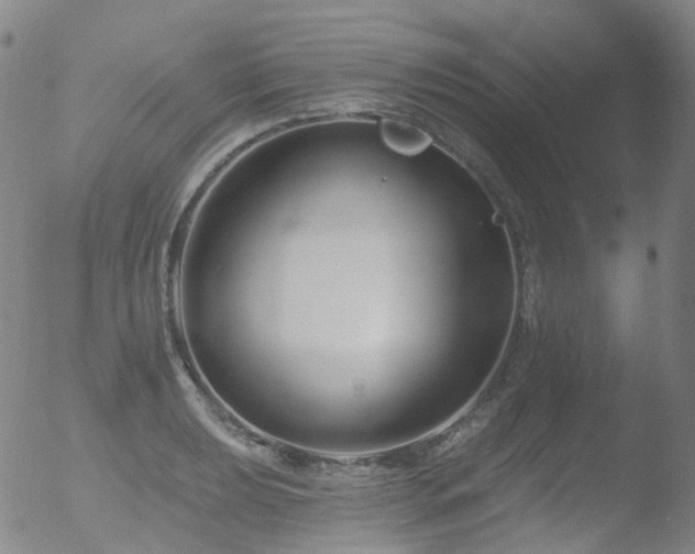 X0000052941039200507081139