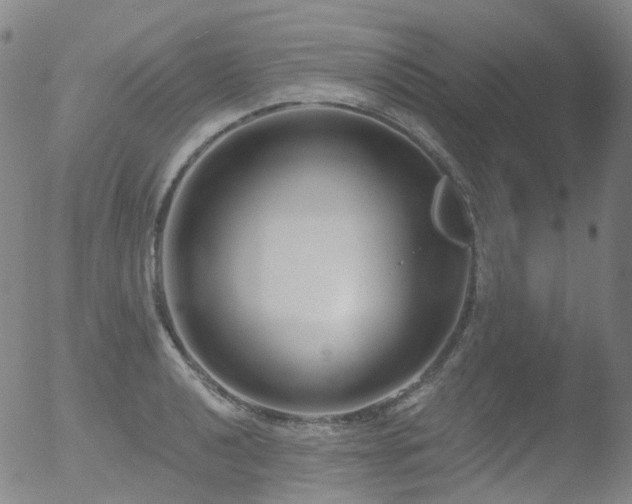 X0000052941040200507081139