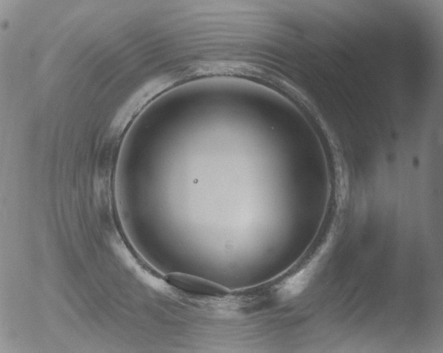 X0000052941041200507081139