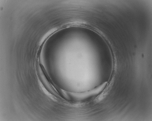 X0000052941042200507081139