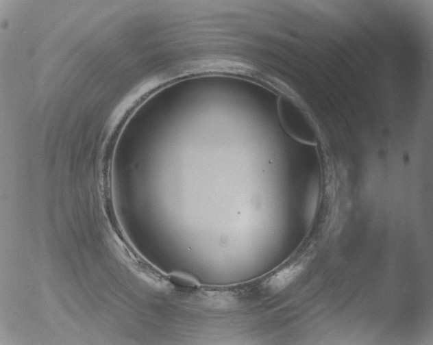 X0000052941043200507081139