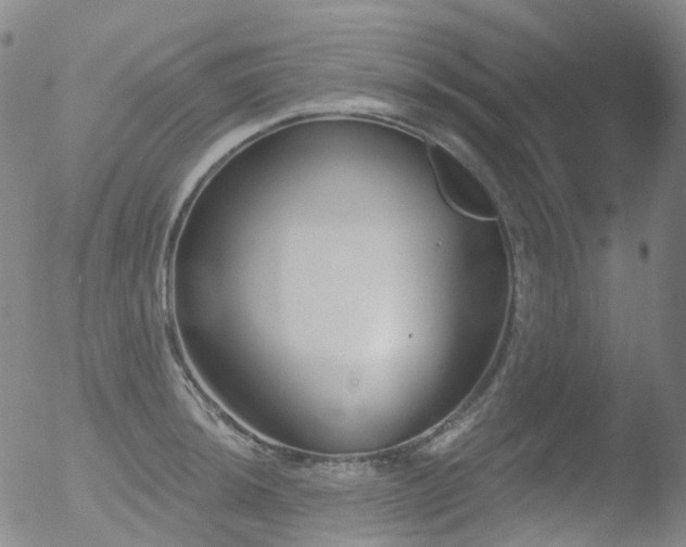 X0000052941044200507081139