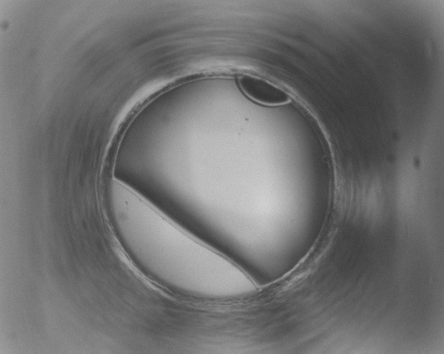 X0000052941045200507081139