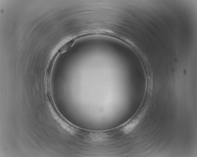 X0000052941046200507081139