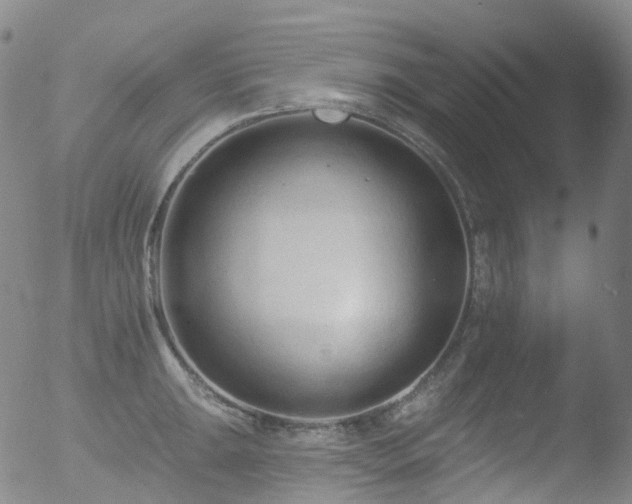 X0000052941047200507081139