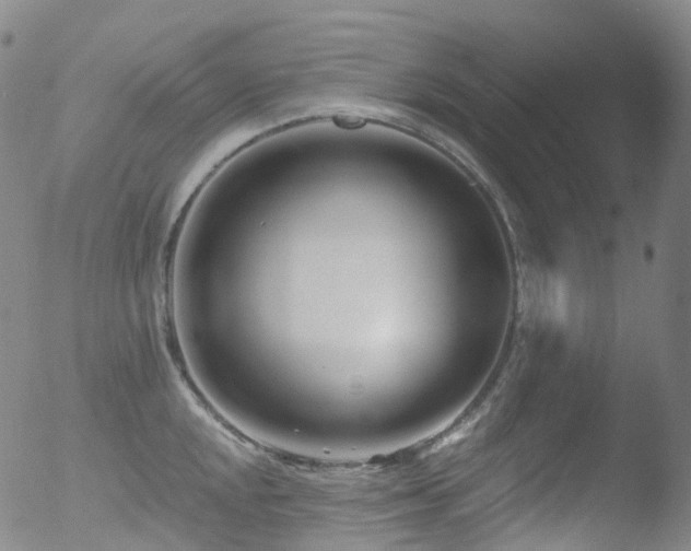 X0000052941048200507081139