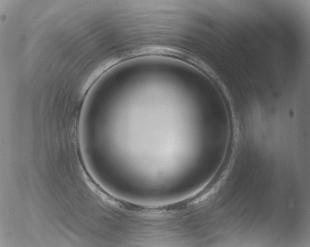 X0000052941049200507081139