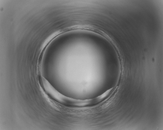 X0000052941050200507081139