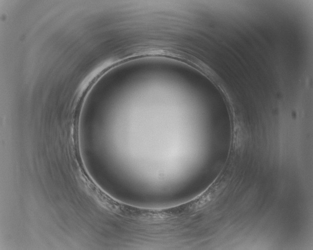 X0000052941051200507081139