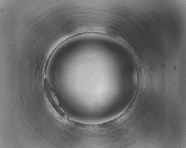 X0000052941052200507081139