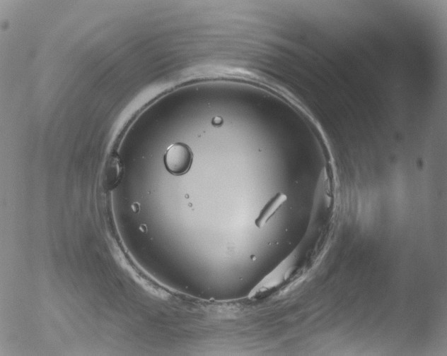 X0000052941053200507081139