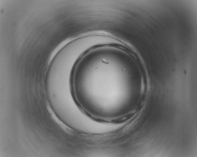 X0000052941054200507081139