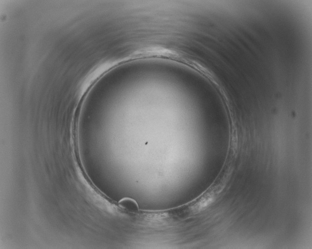 X0000052941055200507081139