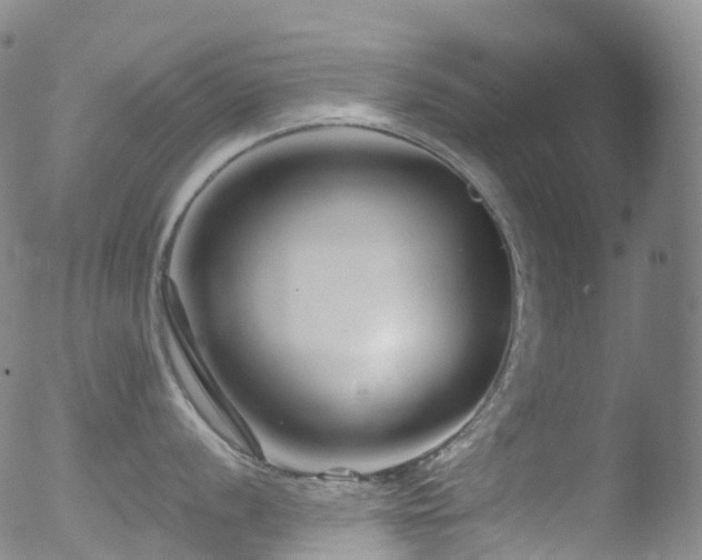 X0000052941056200507081139