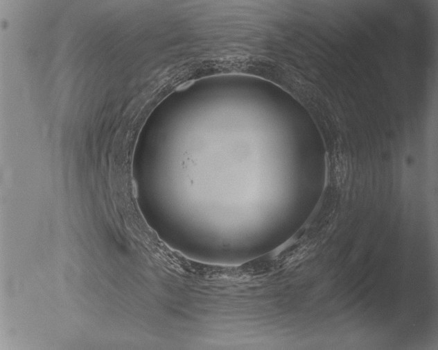 X0000052941057200507081138