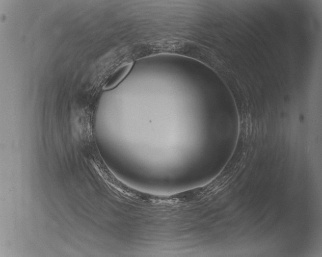 X0000052941058200507081138