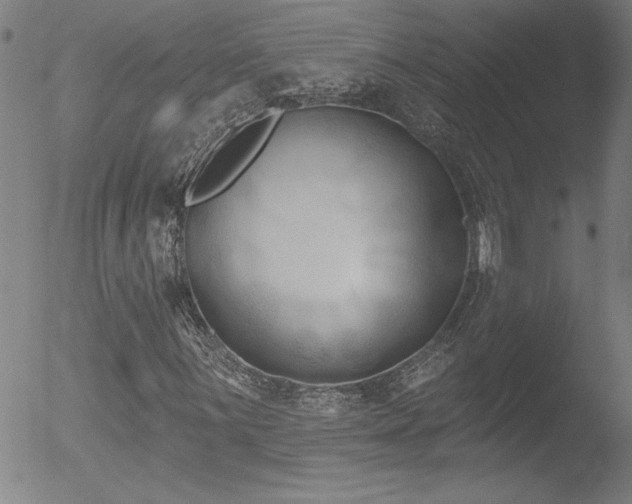 X0000052941059200507081138