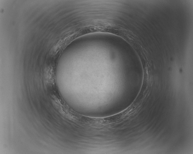 X0000052941060200507081138