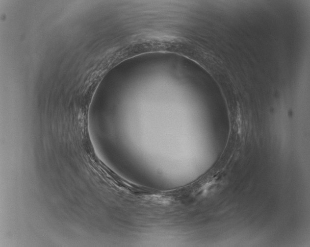 X0000052941061200507081138