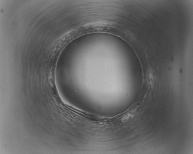 X0000052941062200507081138