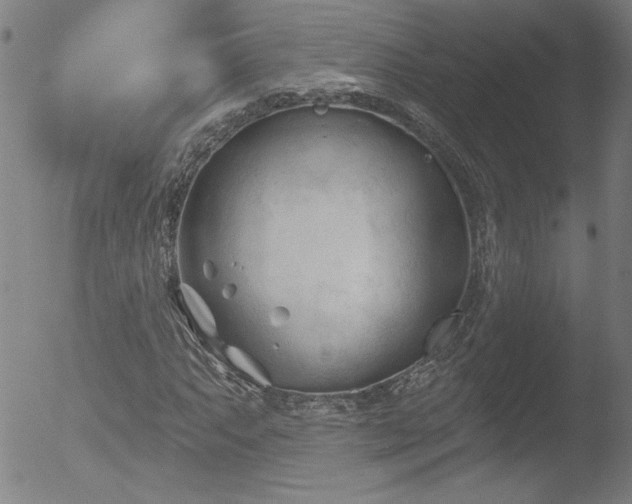 X0000052941063200507081138