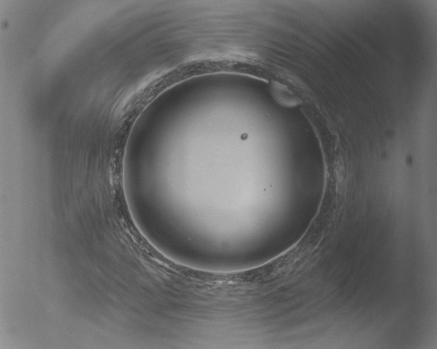 X0000052941064200507081138