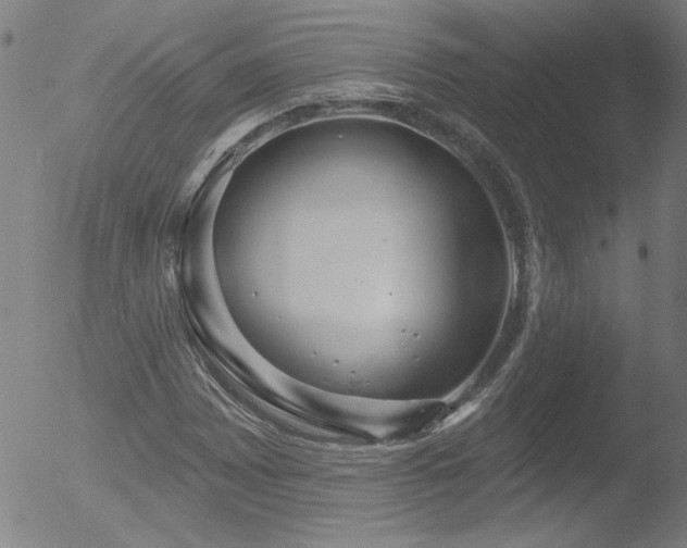 X0000052941065200507081138