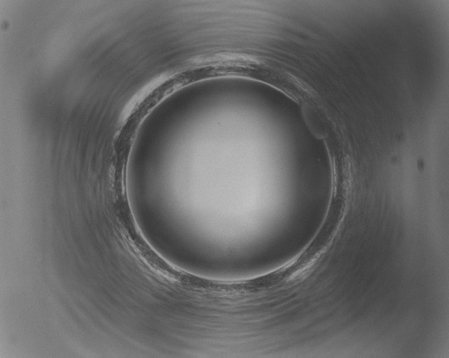 X0000052941066200507081138