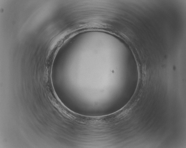 X0000052941067200507081138