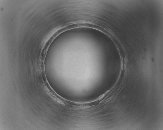 X0000052941068200507081138