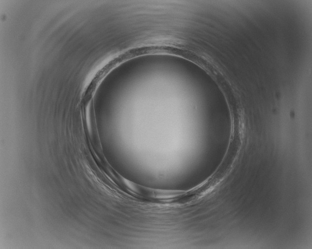 X0000052941069200507081138