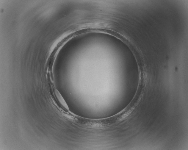 X0000052941070200507081138