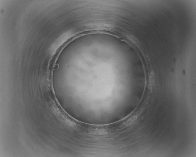 X0000052941071200507081138