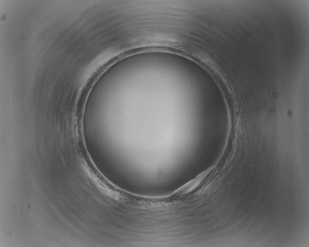 X0000052941072200507081138