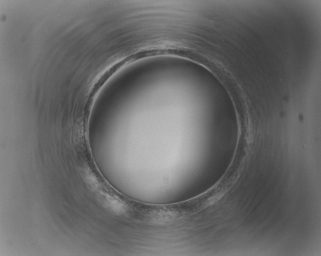 X0000052941073200507081138