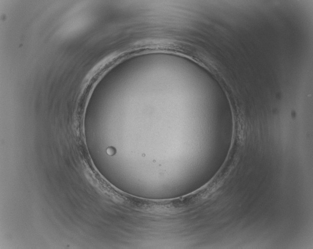 X0000052941074200507081138