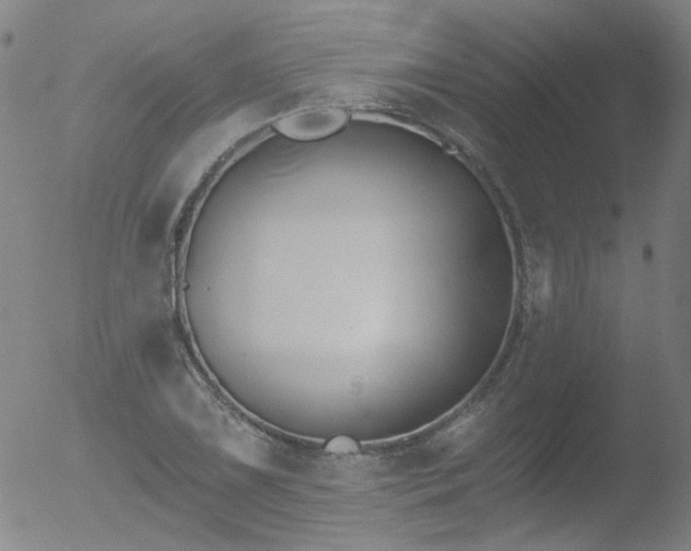 X0000052941075200507081138