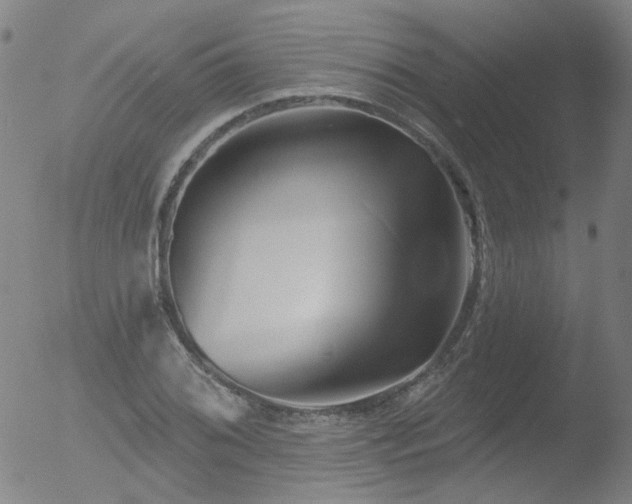 X0000052941076200507081138