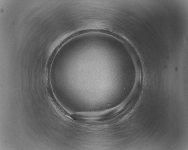 X0000052941077200507081138