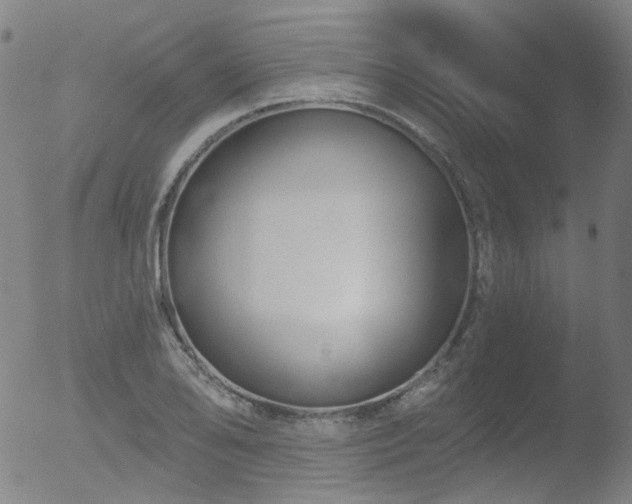 X0000052941078200507081138