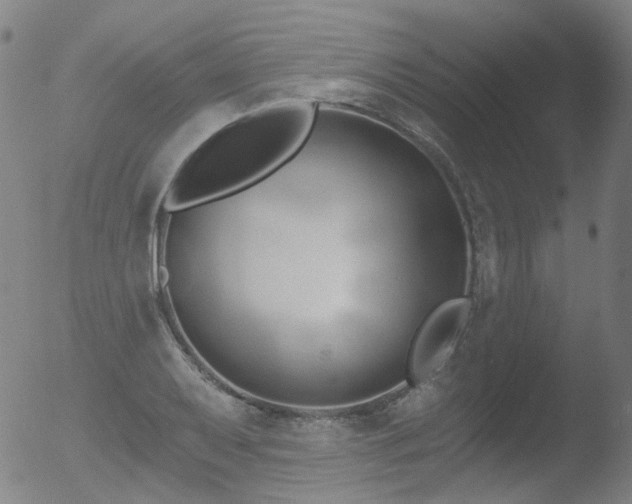 X0000052941079200507081138