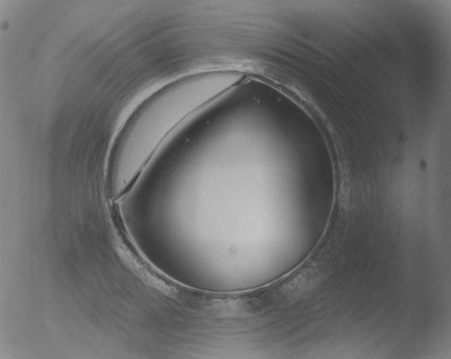 X0000052941080200507081138